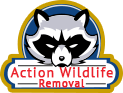 Action Wildlife Removal